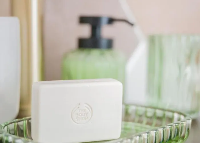 La Parenthese Fleurie - Avec Balneo Au Coeur De Lejlighed